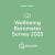 Wellbeing barometer 2025